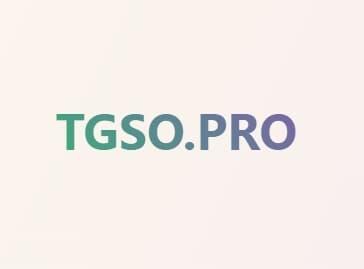 TGSO.PRO——专业、精准、实时的telegram在线搜索引擎