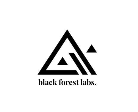 Black Forest Labs黑森林实验室官方网站