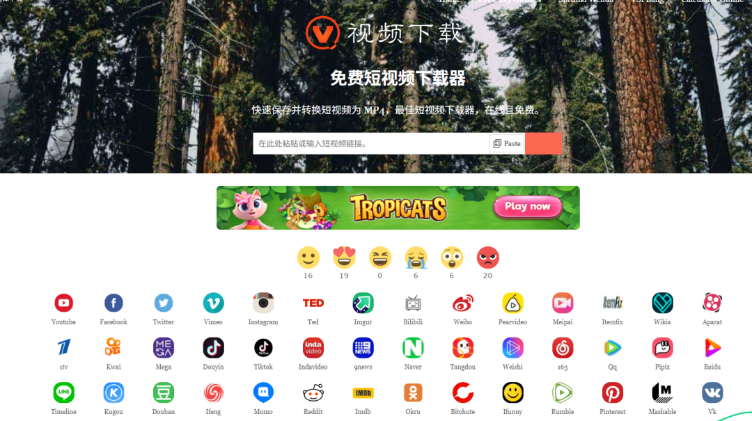 Videofk 支持下载所有视频格式